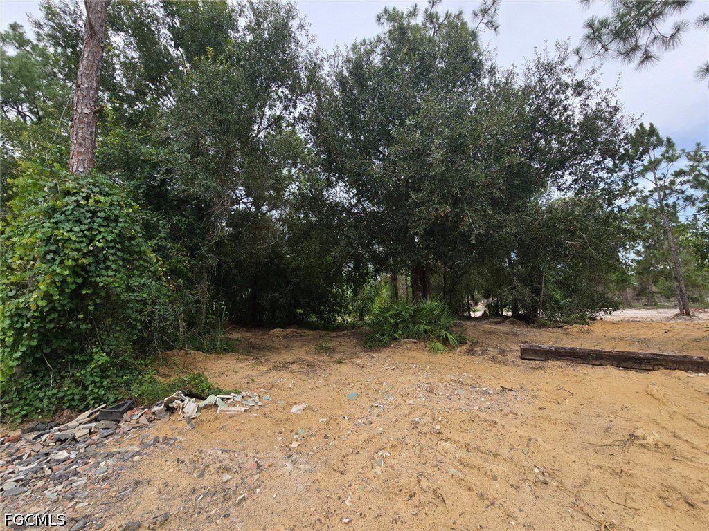 Picture 23