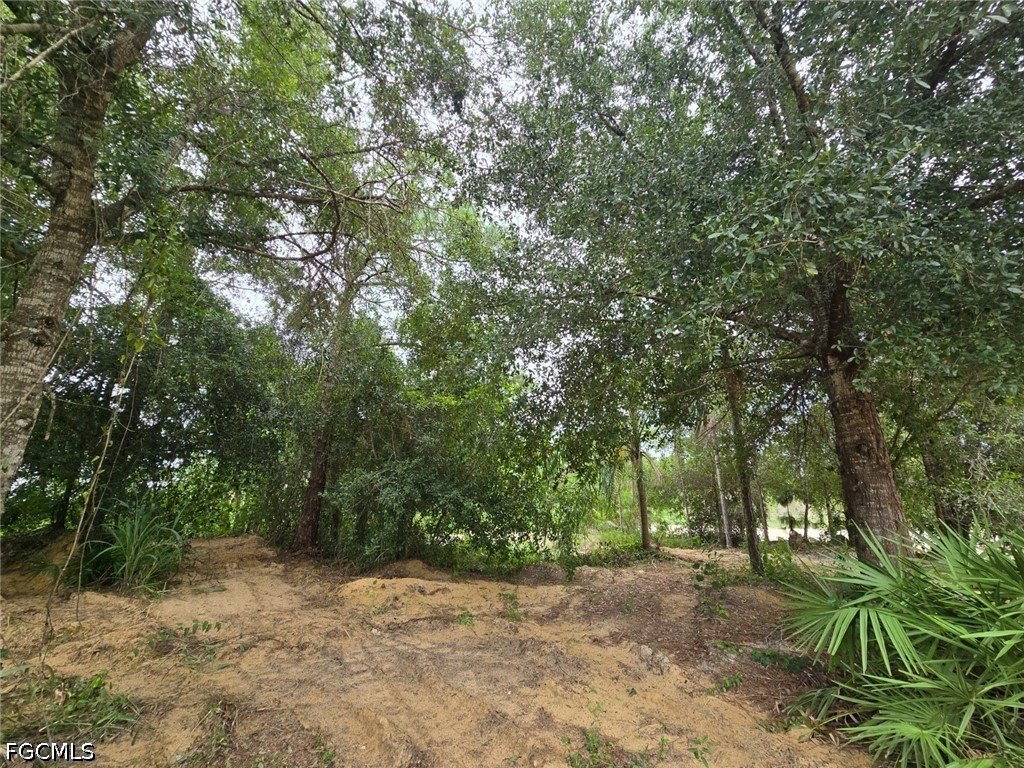 Picture 21