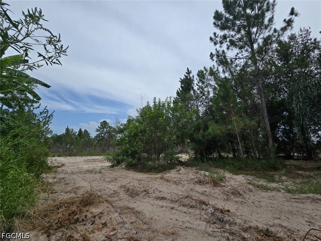 Picture 20