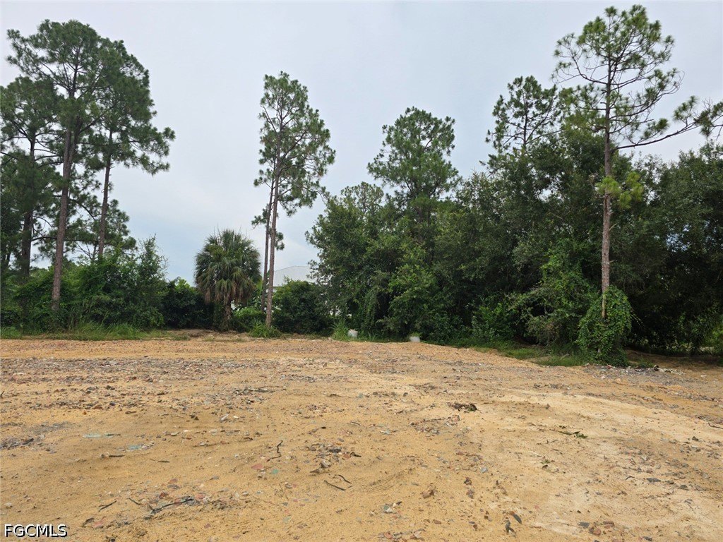 Picture 25