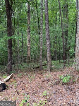 LAND - Sparta, GA
