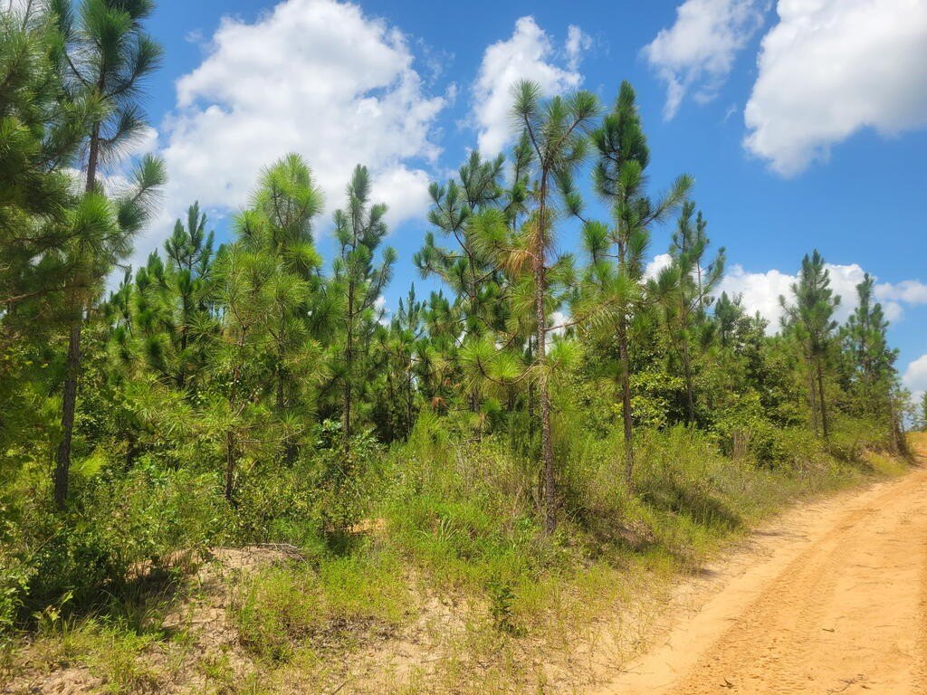 Picture 7