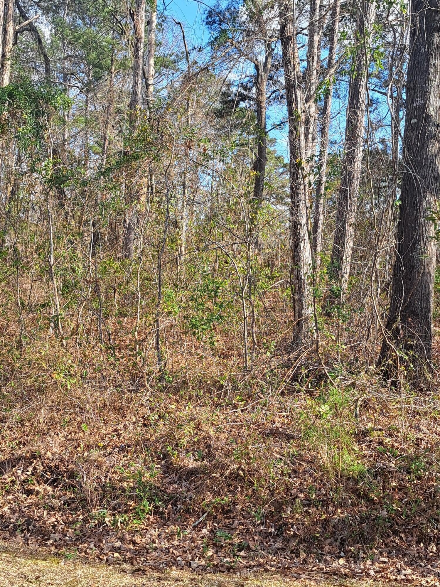Residential Land in Golf Area