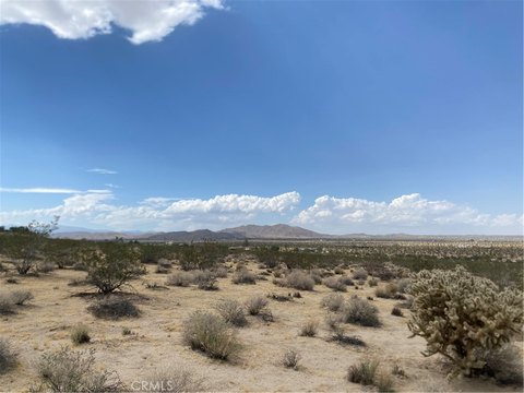 Land, Joshua Tree, CA