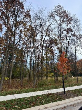 Residential Land in Delafield, WI
