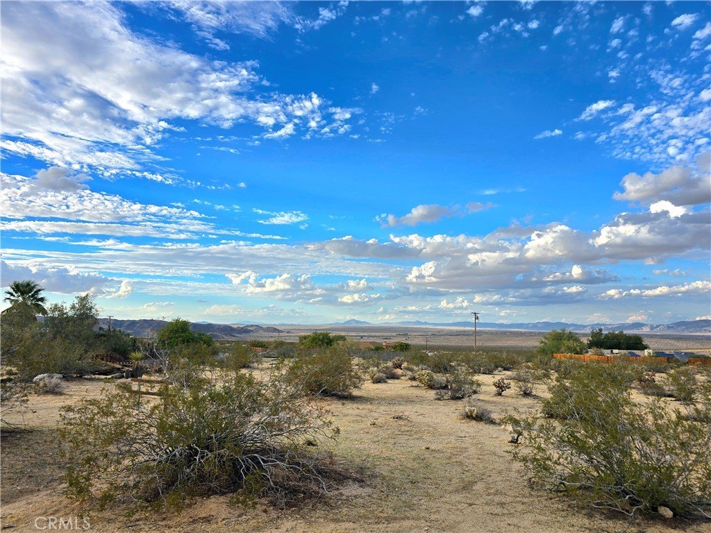 Picture 10