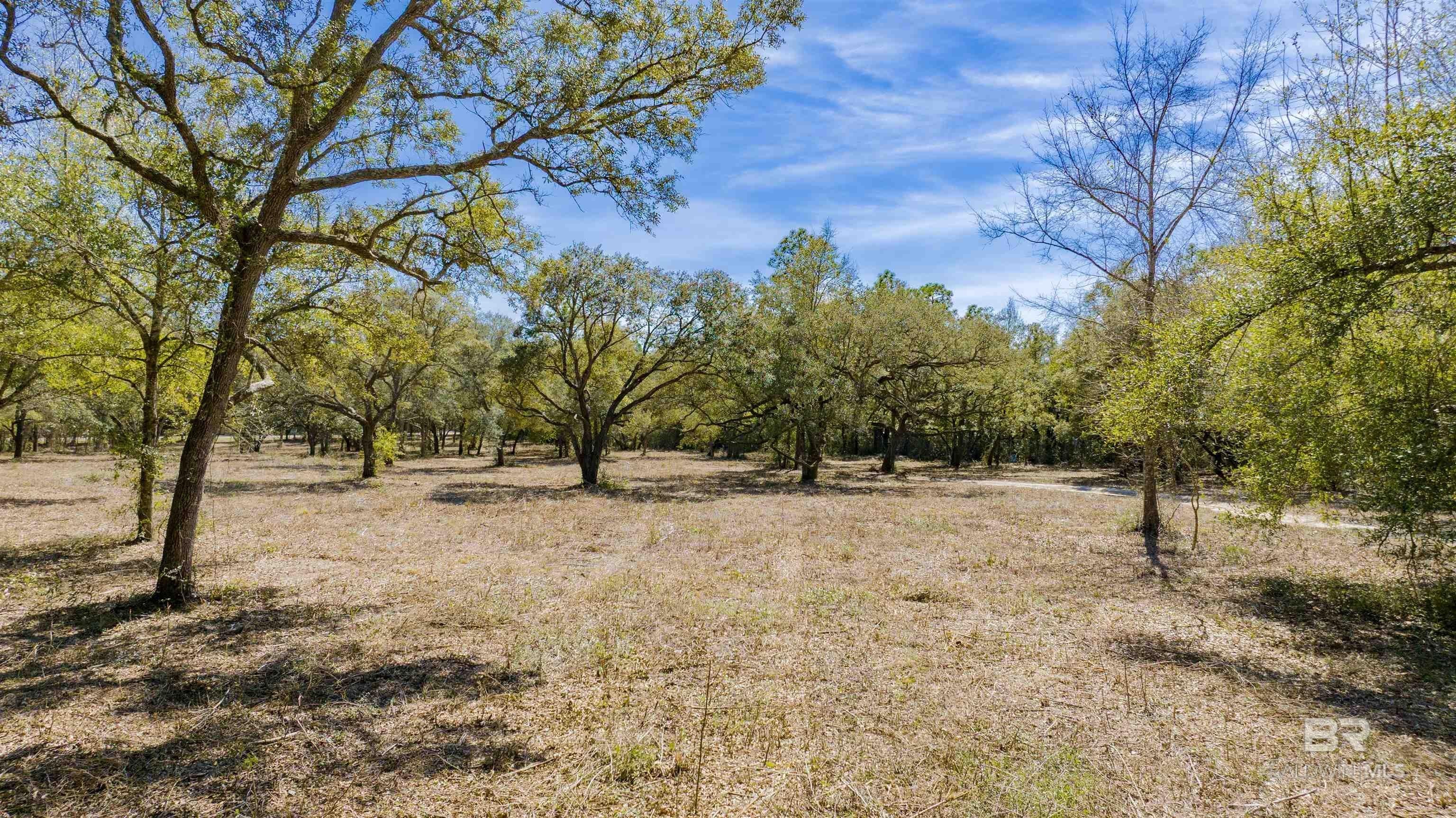 Lillian Land with Development Potential