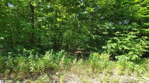 Vacant Lot/Land, Wolverine, MI