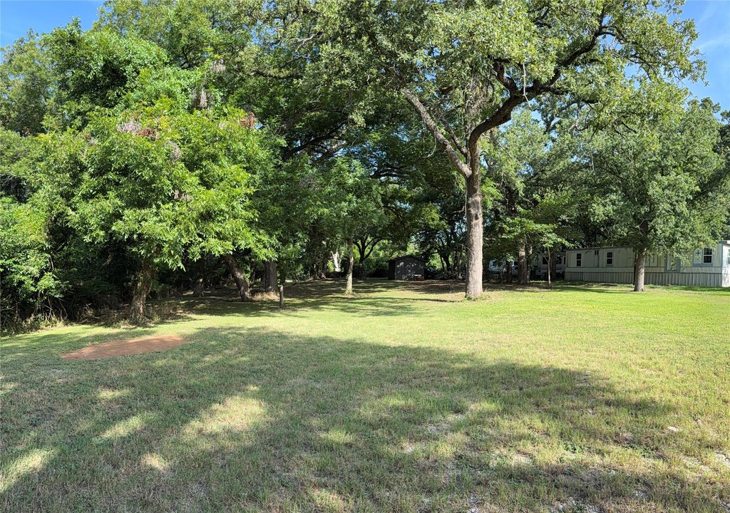 Picture 13