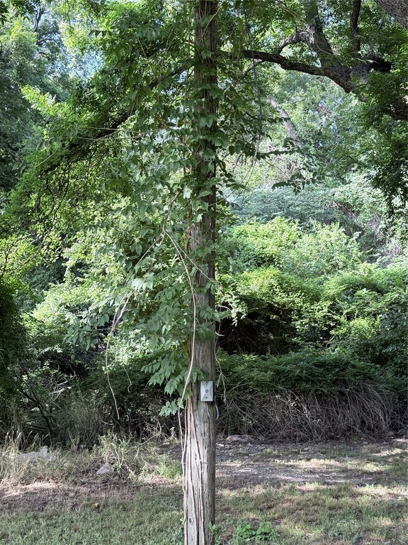 Picture 7
