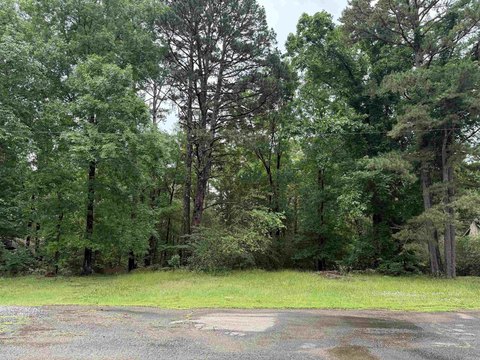 Heber Springs Wooded Lots