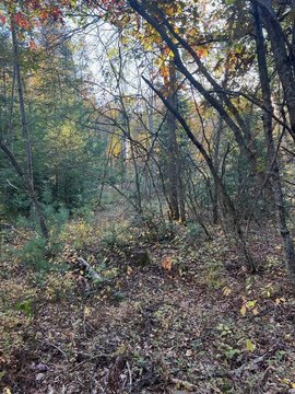 LAND - Roscommon, MI