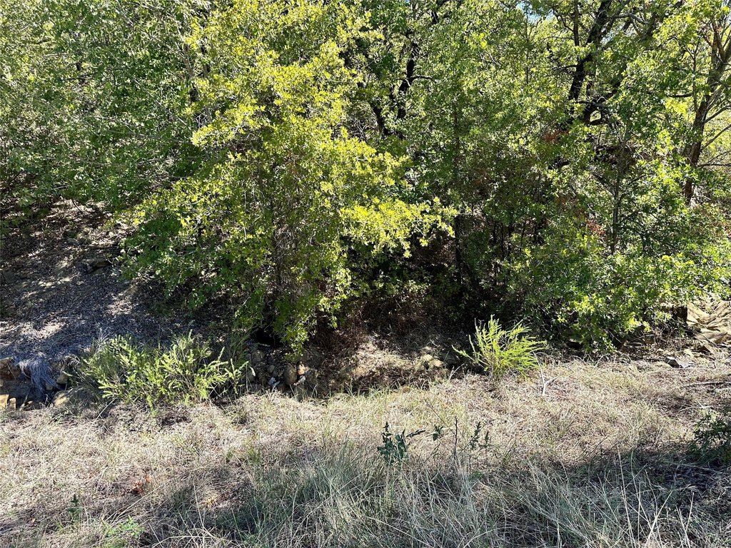 Picture 18