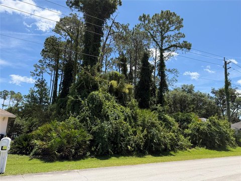 LAND - PALM COAST, FL