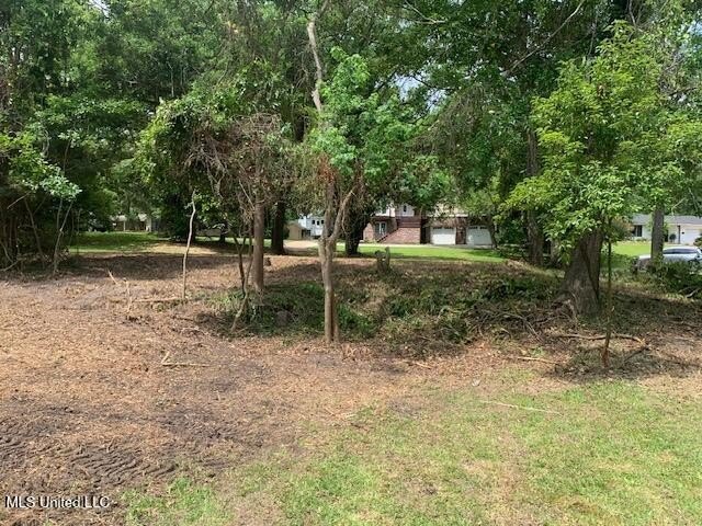 Picture 15