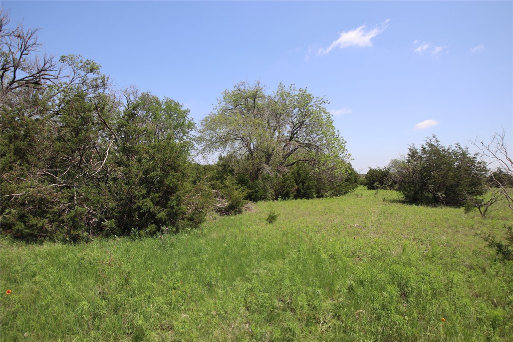 Picture 23