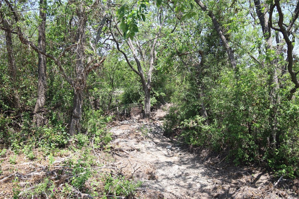 Picture 22