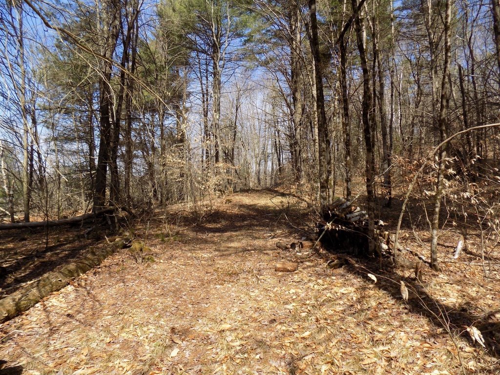 Picture 3