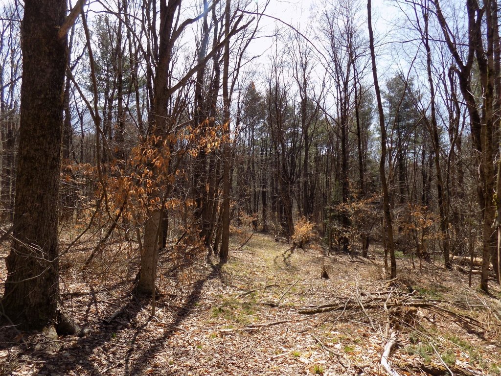 Picture 14