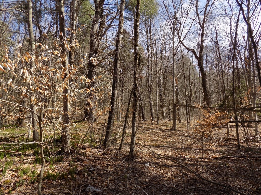 Picture 12