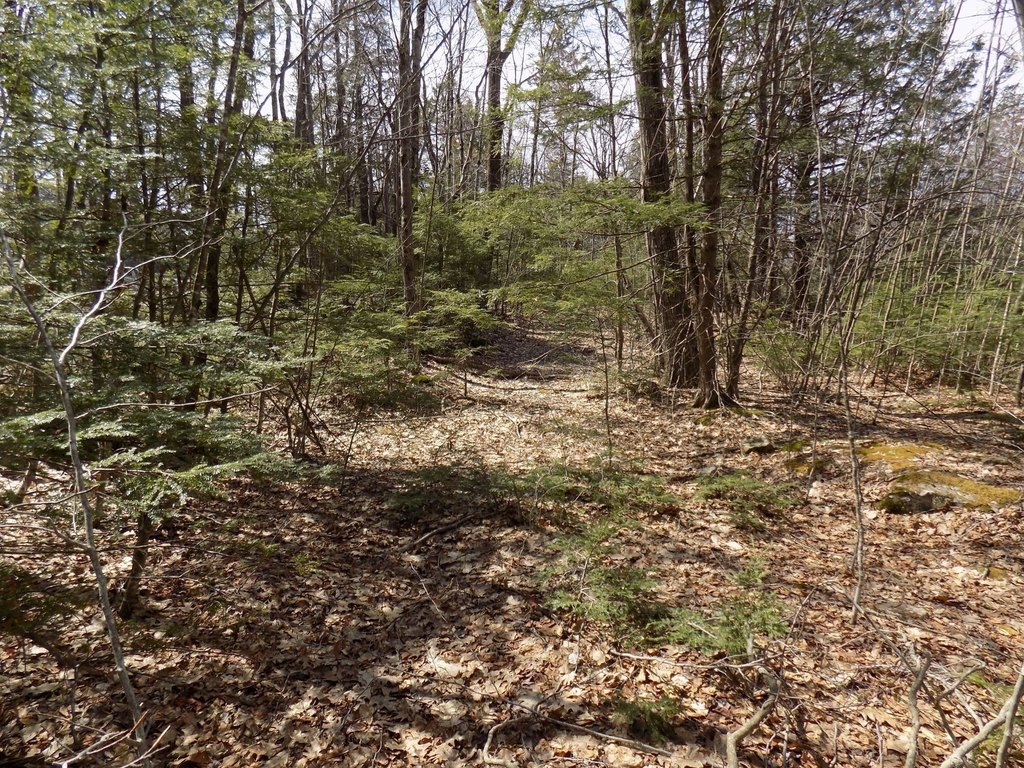 Picture 5