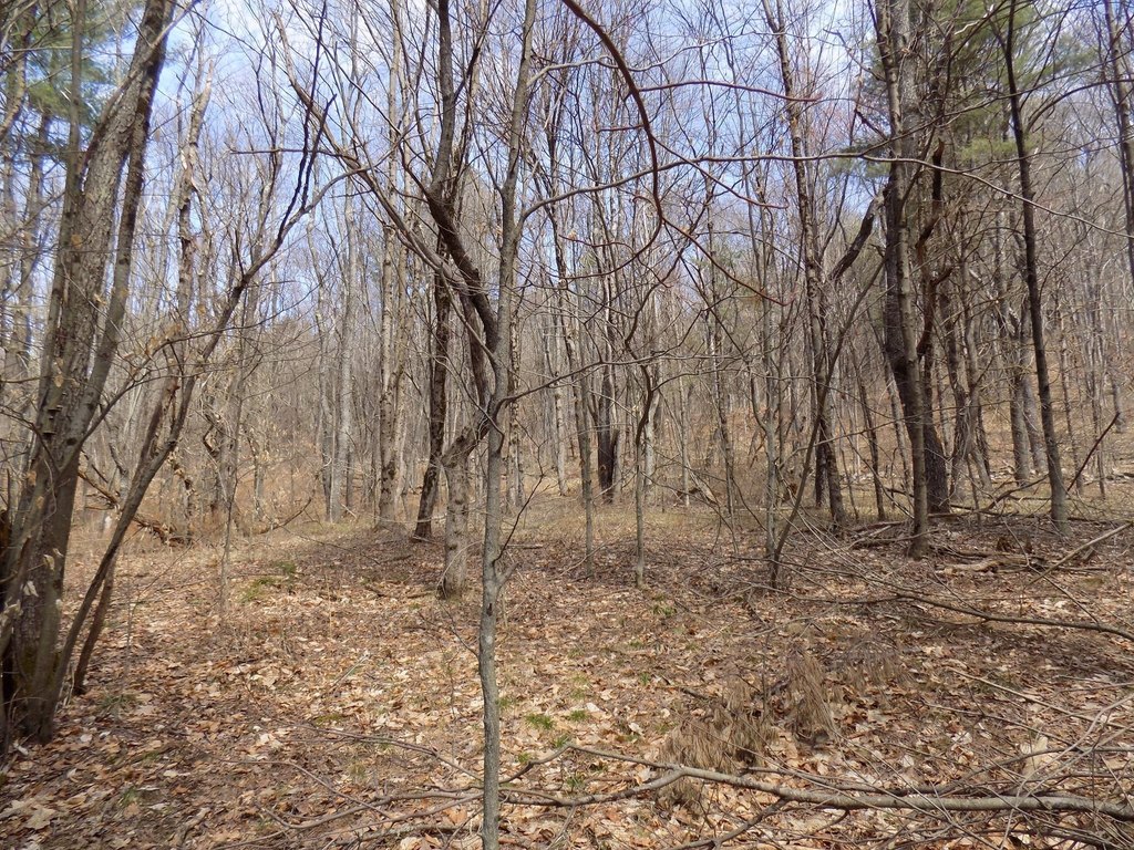 Picture 7