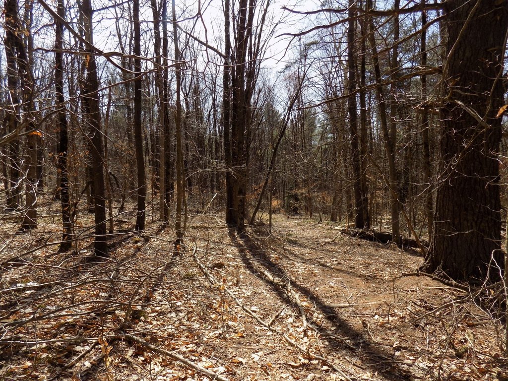 Picture 13