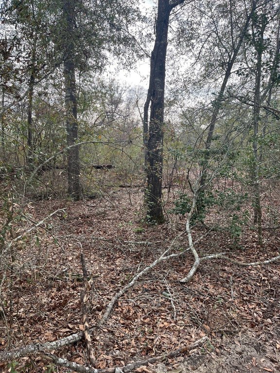Picture 15
