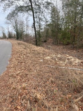 LAND - Salley, SC