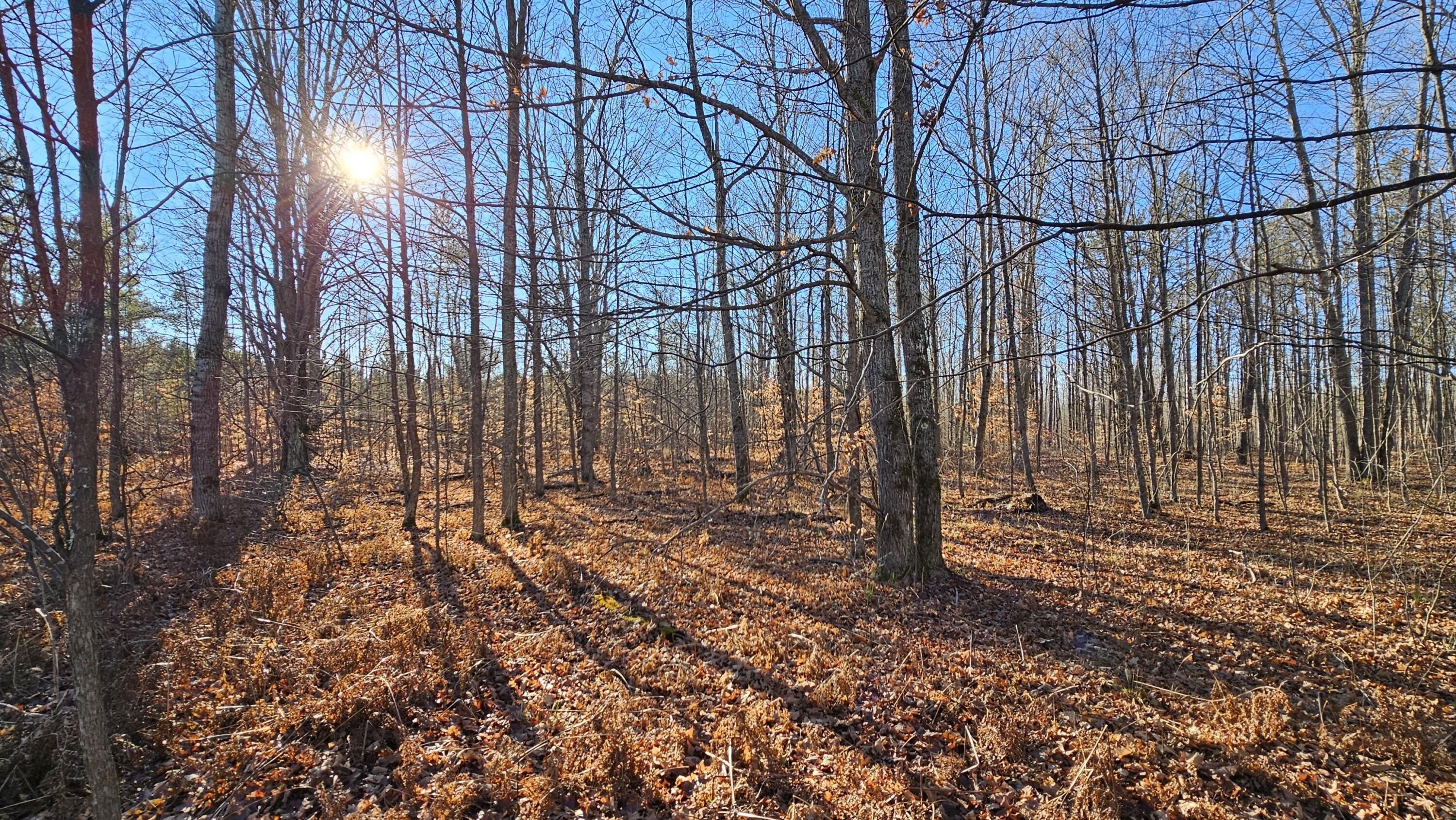 Kalkaska Land Bordering State Land