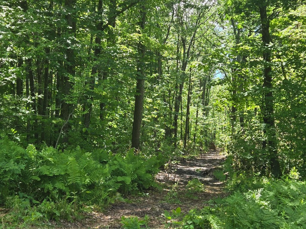 Picture 14