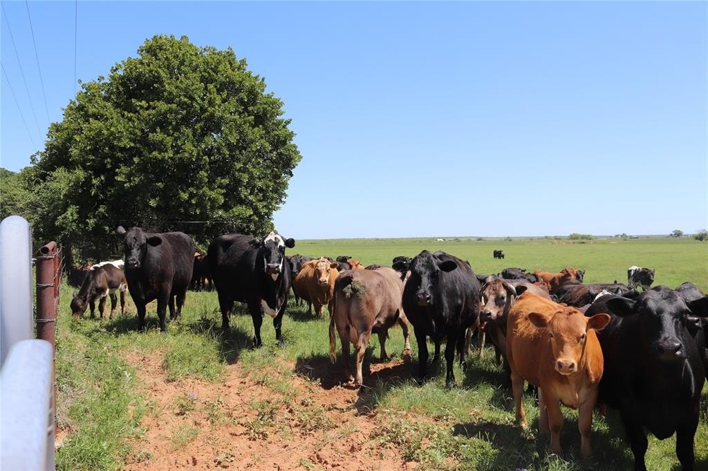 80 Acres Agricultural Land For Sale