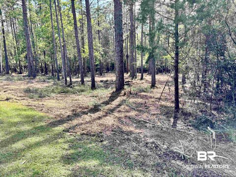 Residential Lot in Gated Community