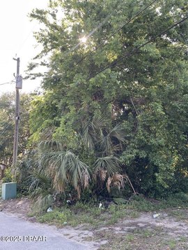 Picture of Land at Washington Pl 248, Ormond Beach, FL