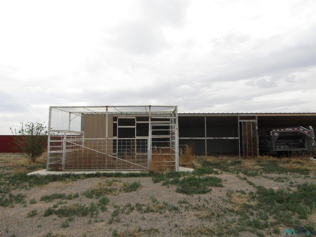 Picture 31