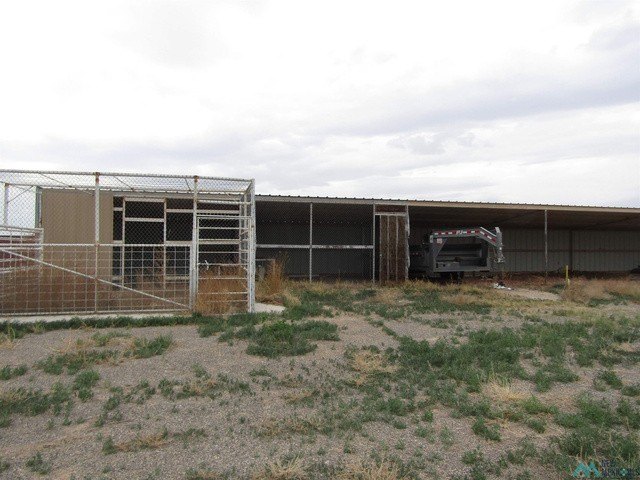 Picture 28