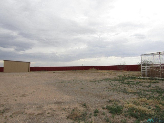Picture 20