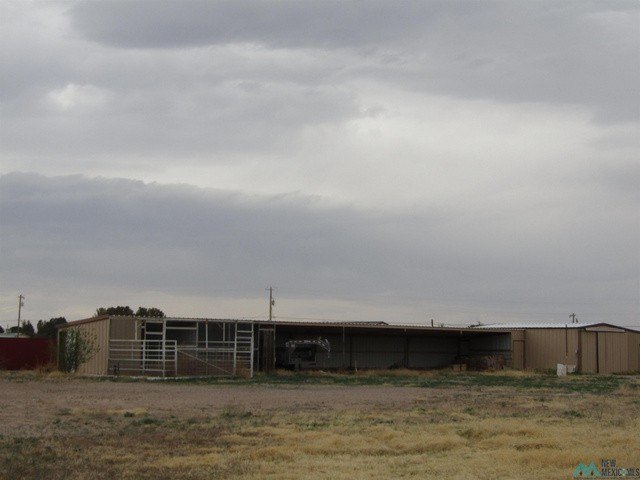 Picture 33