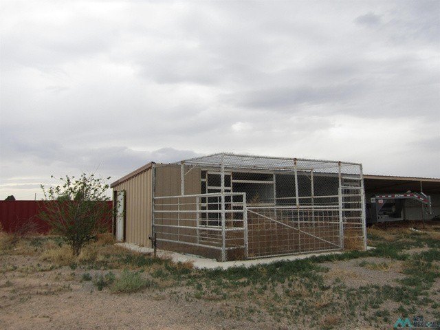 Picture 26