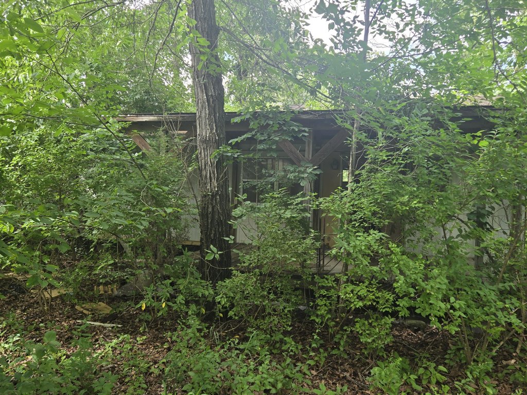 Picture 10