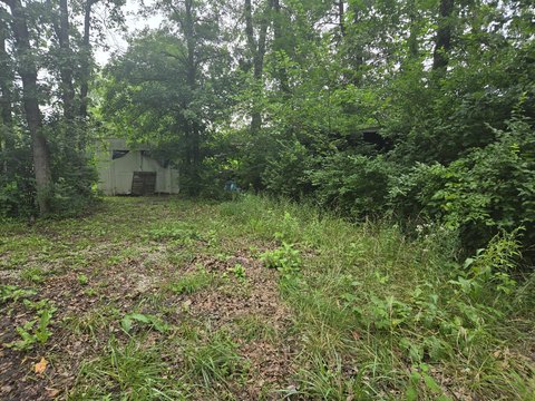 LAND - Flemington, MO