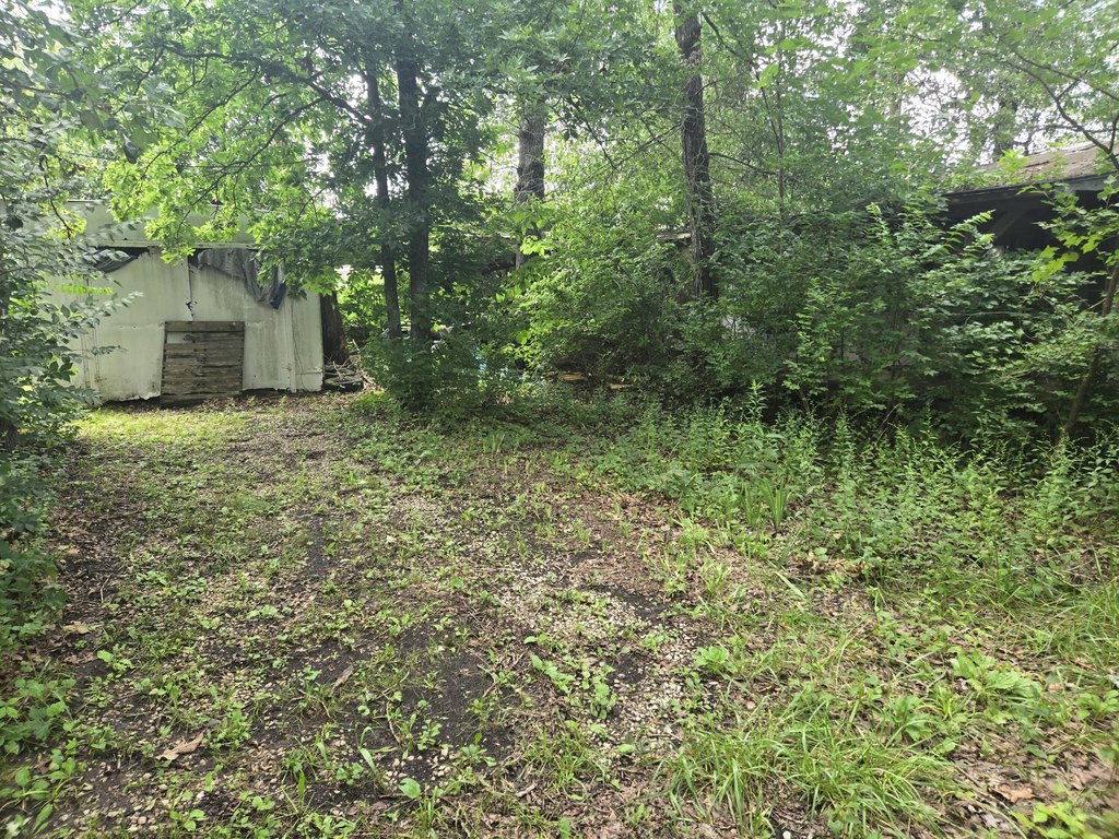 Picture 8