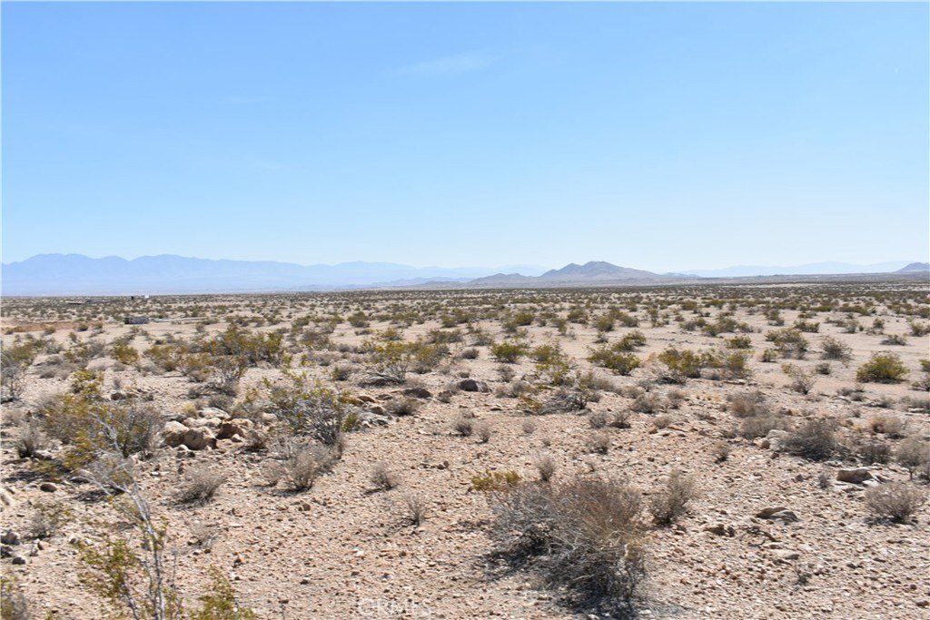 Picture 9