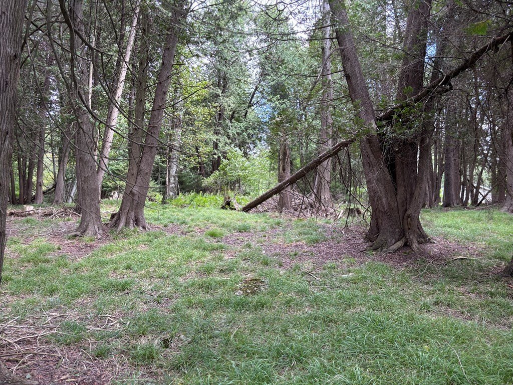 Picture 25