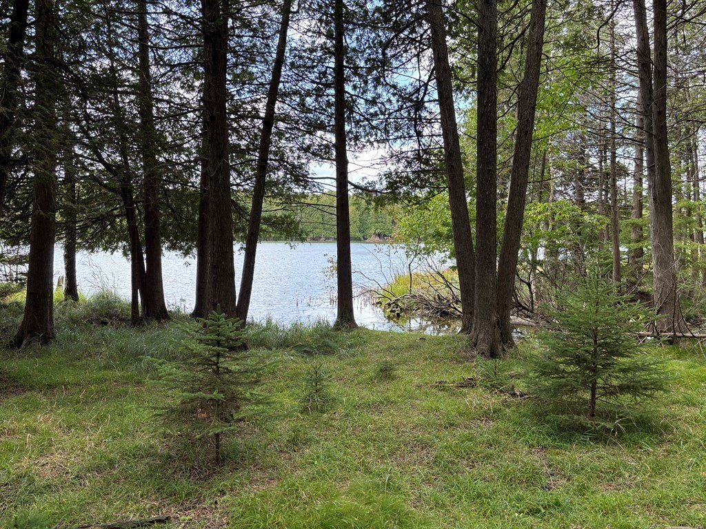 Picture 23