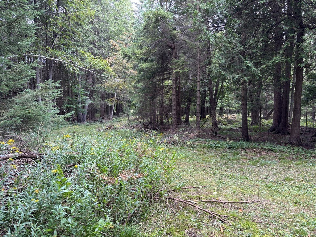 Picture 19