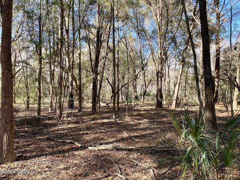 Land, Beaufort, SC