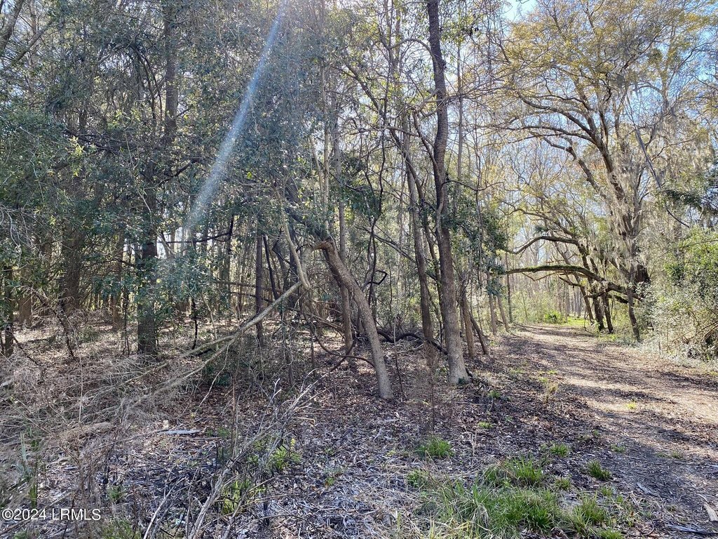 Picture 8