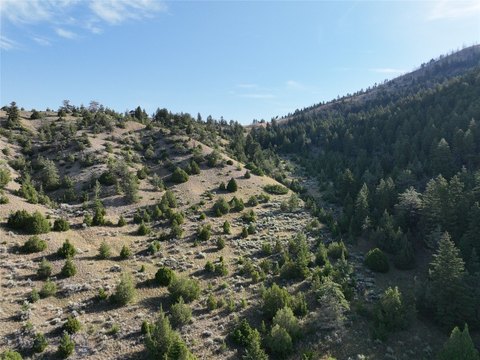 10 Acres in Clarkston, Montana