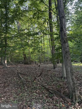 LAND - CLINTON, MD